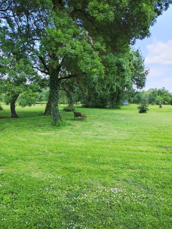 Gite De La Janiere Сент-Люс-Сюр-Луар Экстерьер фото